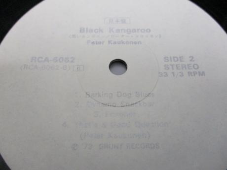 Peter Kaukonen Black Kangaroo Japan PROMO LP INSERT WHITE LABEL