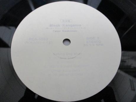 Peter Kaukonen Black Kangaroo Japan PROMO LP INSERT WHITE LABEL