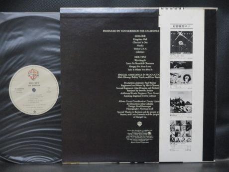 Van Morrison Wavelength Japan Orig. LP OBI