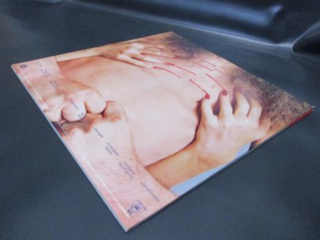 Ted Nugent Cat Scratch Fever Japan Orig. LP OBI