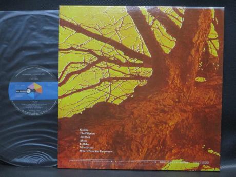 Wishbone Ash Pilgrimage Japan Orig. LP G/F