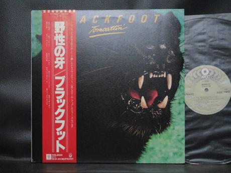 Blackfoot Tomcattin’ Japan Orig. LP OBI