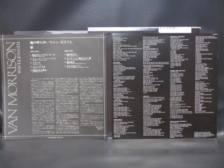 Van Morrison Wavelength Japan Orig. LP OBI