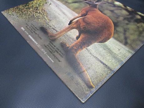 Peter Kaukonen Black Kangaroo Japan PROMO LP INSERT WHITE LABEL