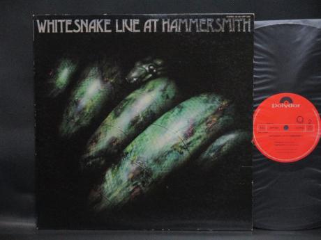 Whitesnake Live At Hammersmith Japan ONLY LP INSERT