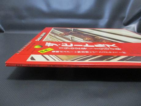 Beatles 1962 - 1966 Japan Early Press 2LP OBI RARE BIG POSTER