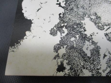 Led Zeppelin 1st Same Title Japan Rare LP BROWN OBI