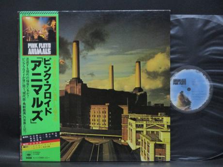 Pink Floyd Animals Japan Orig. LP OBI INSERT