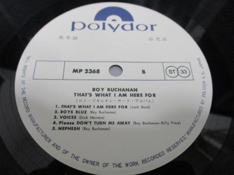 Roy Buchanan That's What I Am Here For Japan Orig. PROMO LP OBI WHITE LABEL