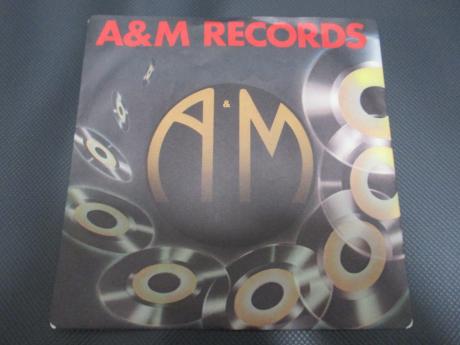 38 Special Hold On Loosely Japan Orig. 7" RARE PS