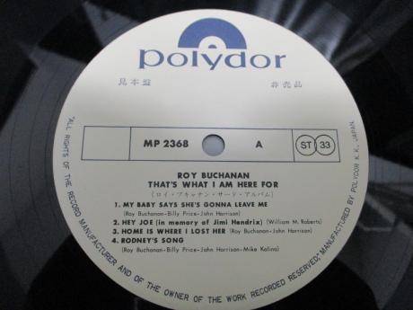 Roy Buchanan That's What I Am Here For Japan Orig. PROMO LP OBI WHITE LABEL
