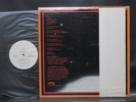 Stallion Hey Everybody Japan Orig. PROMO LP OBI WHITE LABEL