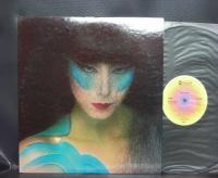 Steely Dan 1st S/T Same Title Japan ONLY LP INSERT