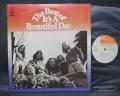 It’s A Beautiful Day The Best Of Japan ONLY LP