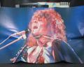 T. REX Great Hits Japan Orig. LP OBI RARE POSTER