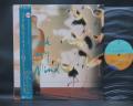 Christopher Cross Back Of My Mind Japan Orig. LP OBI