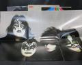 Kiss Dynasty US Orig. LP INSERT RARE POSTER