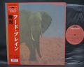 Food Brain Social Gathering Japan LTD LP OBI INSERT