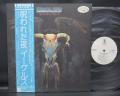 Eagles One of These Days Japan PROMO LP OBI WHITE LABEL