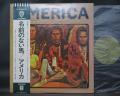 America 1st S/T Same Title Japan Orig. LP OBI