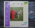 RUSH Signals Japan Orig. LP OBI BOOKLET
