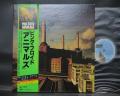 Pink Floyd Animals Japan Orig. LP OBI INSERT