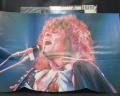 T. REX Great Hits Japan Orig. LP OBI RARE POSTER