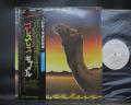 Camel Breathless Japan Orig. PROMO LP OBI WHITE LABEL