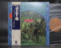 CCR Creedence Clearwater Revival Suzie Q Japan Early Press LP OBI DIF