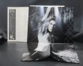 Van Halen Women and Children First Japan Orig. LP OBI POSTER