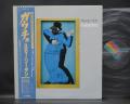 Steely Dan Gaucho Japan Orig. LP OBI INSERT