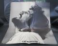 Cat Stevens Teaser and the Firecat Japan Orig. LP G/F RARE POSTER
