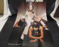 Suzi Quatro 1st S/T Japan Orig. LP OBI BIG POSTER