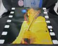 Camel The Single Factor Japan Orig. LP OBI RARE POSTER