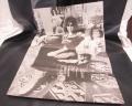 T. Rex Electric Warrior Japan Orig. LP RARE BIG POSTER